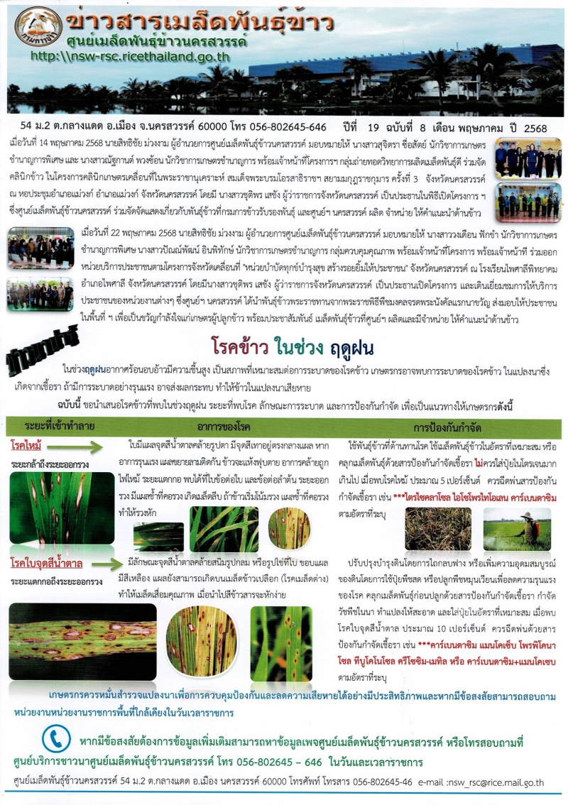 ข่าวสารเมล็ดพันธุ์ข้าว