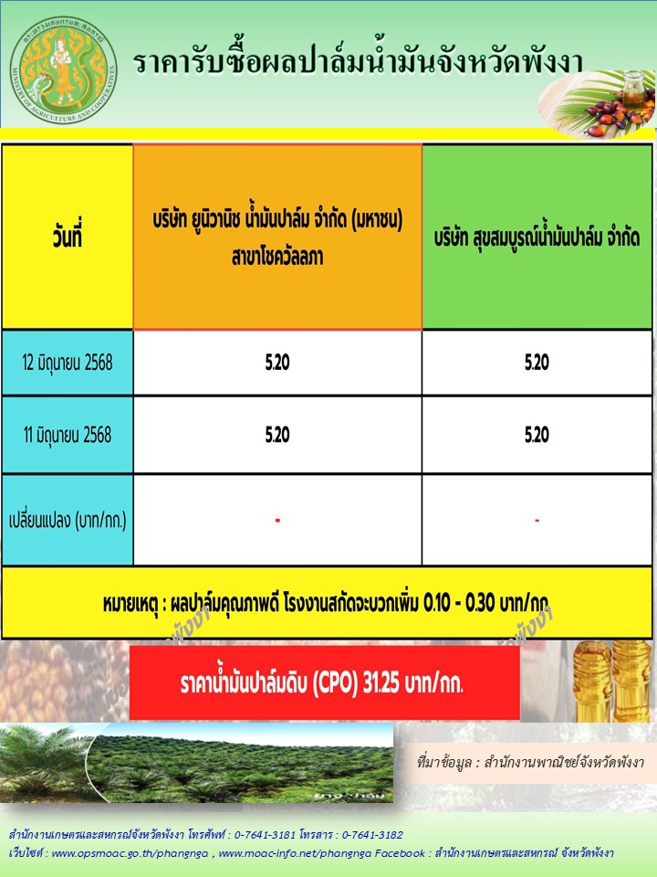 ราคารับซื้อผลปาล์มน้ำมันจังหวัดพังงา