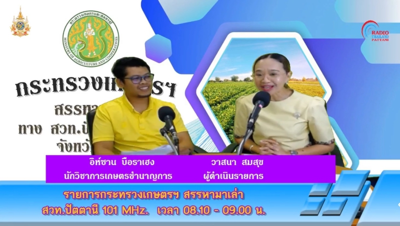 วันจันทร์ที่16มิถุนายน2568สำนักงานเกษตรและสหกรณ์จังหวัดปัตตานี