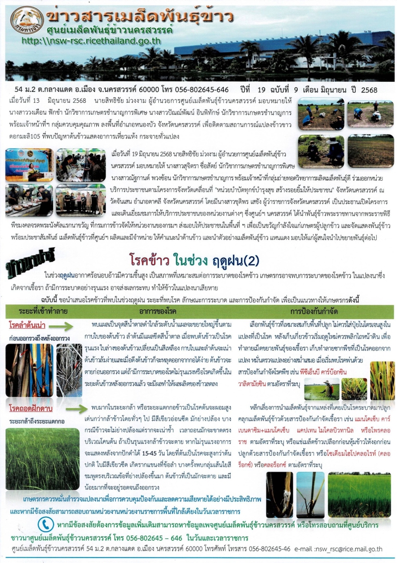 ข่าวสารเมล็ดพันธุ์ข้าว
