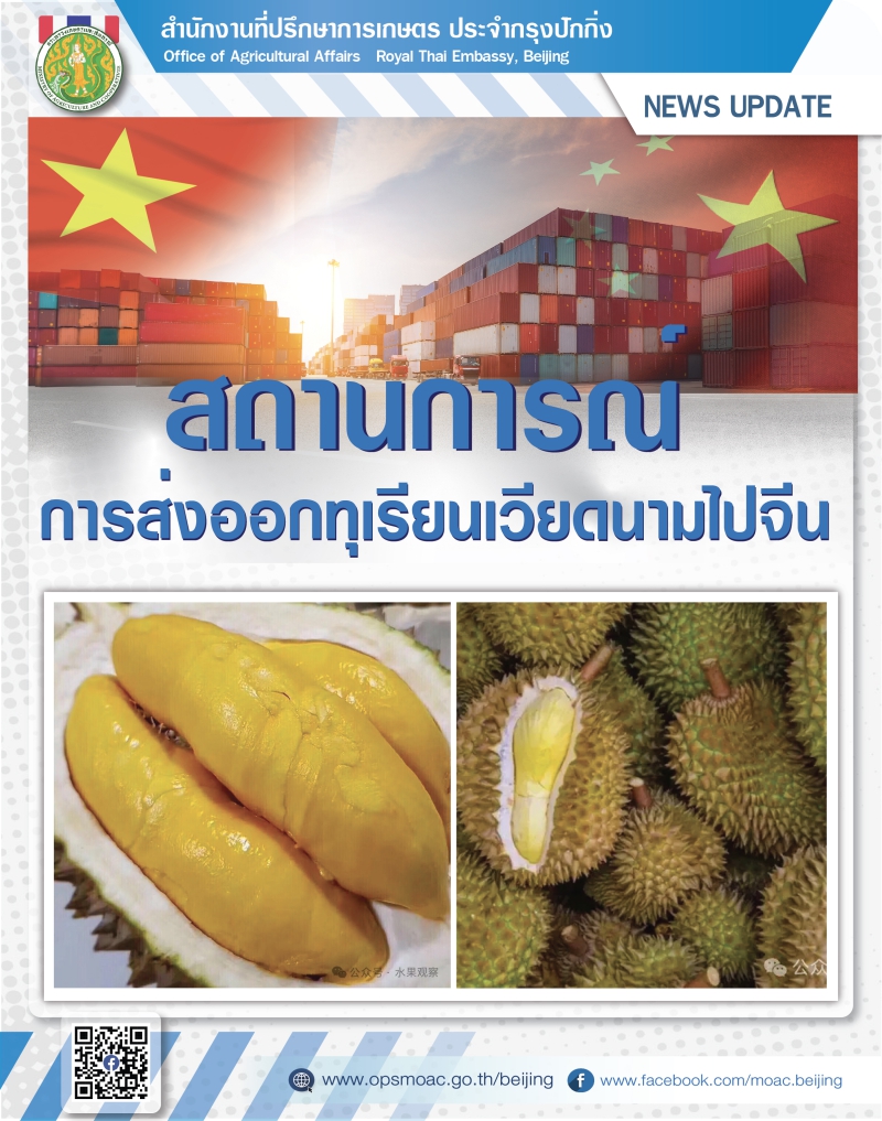 สถานการณ์ทุเรียนเวียดนามส่งออกไปจีน