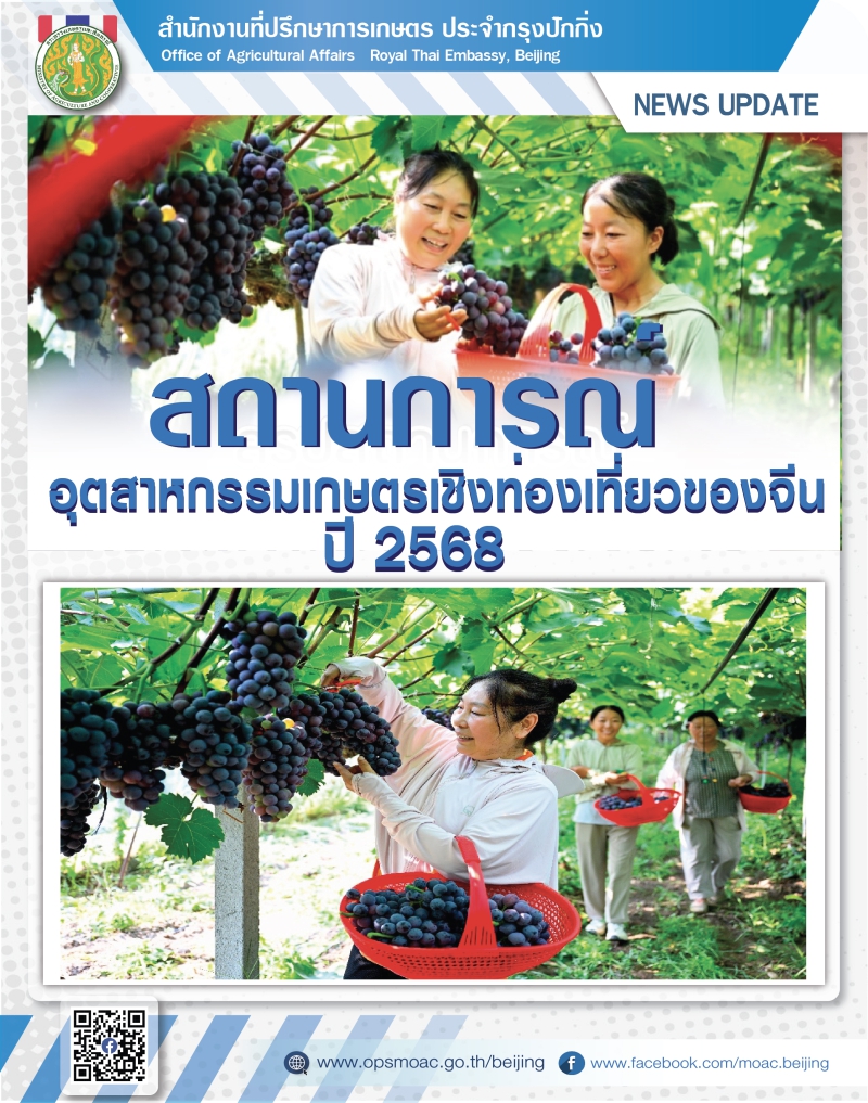 สถานการณ์อุตสาหกรรมเกษตรเชิงท่องเที่ยวของจีน ปี 2568