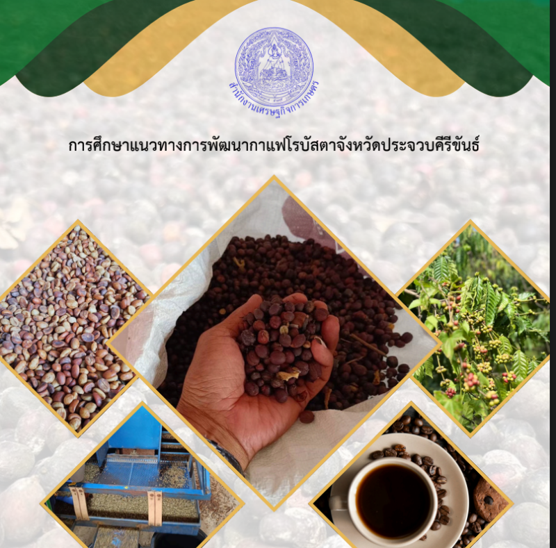 ประชาสัมพันธ์การศึกษาแนวทางการพัฒนากาแฟโรบัสตาจังหวัดประจวบคีรีขันธ์