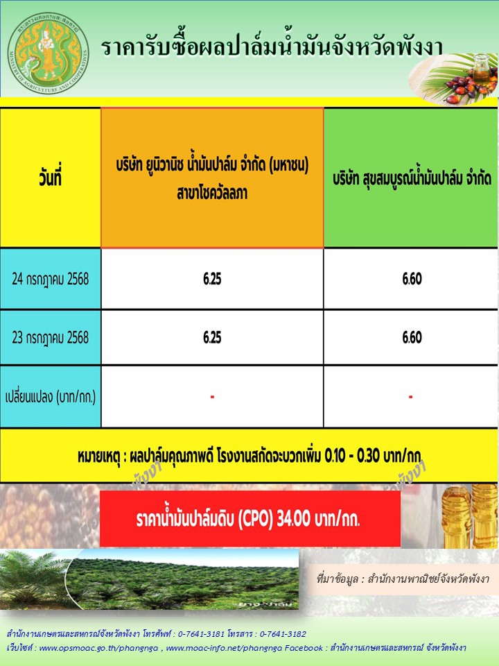 ราคารับซื้อผลปาล์มน้ำมันจังหวัดพังงา