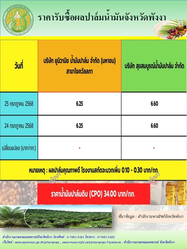 ราคารับซื้อผลปาล์มน้ำมันจังหวัดพังงา