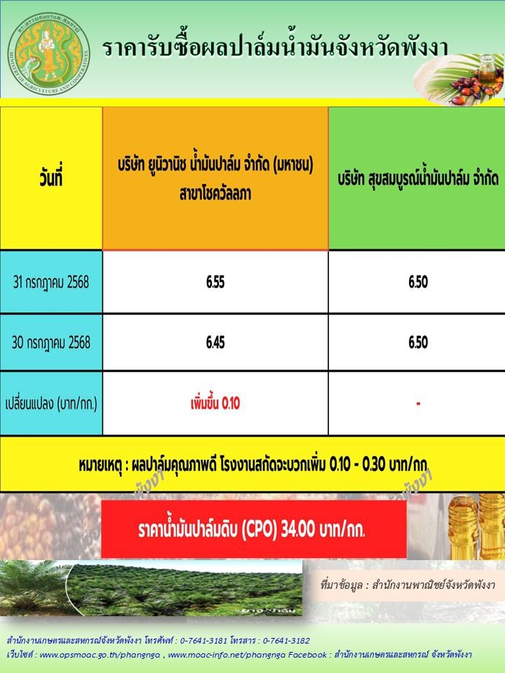 ราคารับซื้อผลปาล์มน้ำมันจังหวัดพังงา
