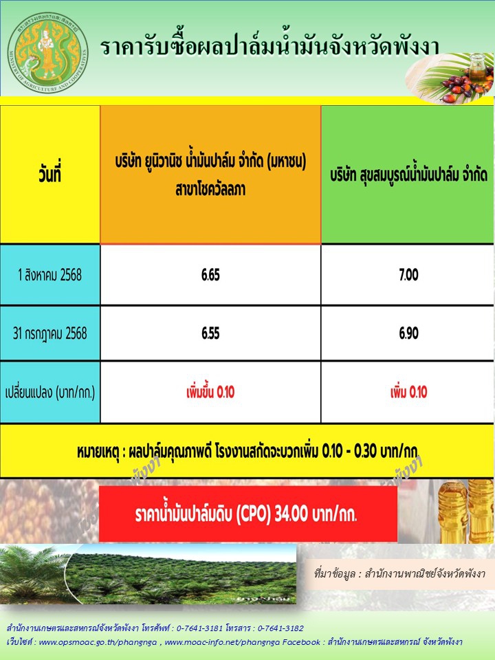 ราคารับซื้อผลปาล์มน้ำมันจังหวัดพังงา