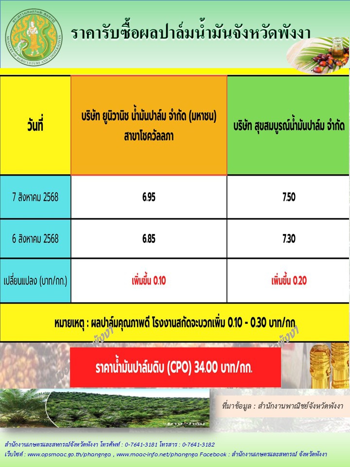 ราคารับซื้อผลปาล์มน้ำมันจังหวัดพังงา