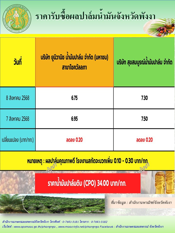 ราคารับซื้อผลปาล์มน้ำมันจังหวัดพังงา