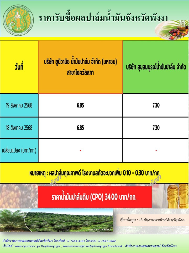 ราคารับซื้อผลปาล์มน้ำมันจังหวัดพังงา