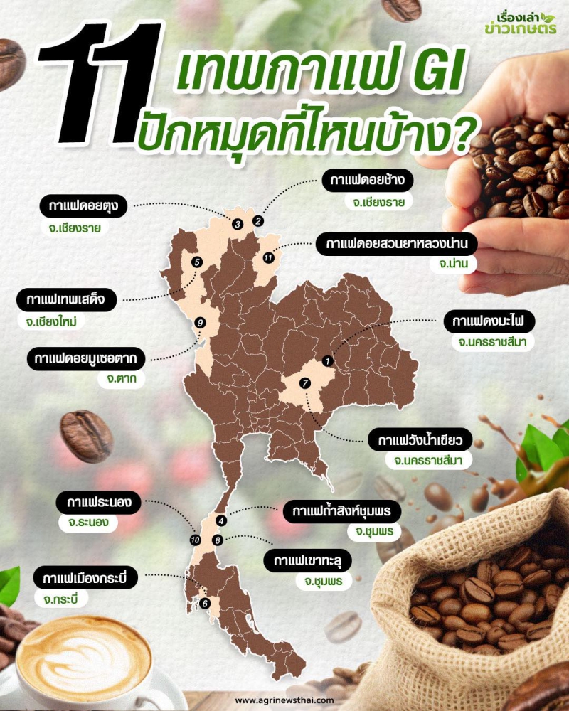 11 เทพกาแฟ GI ปักหมุดที่ไหนบ้าง?