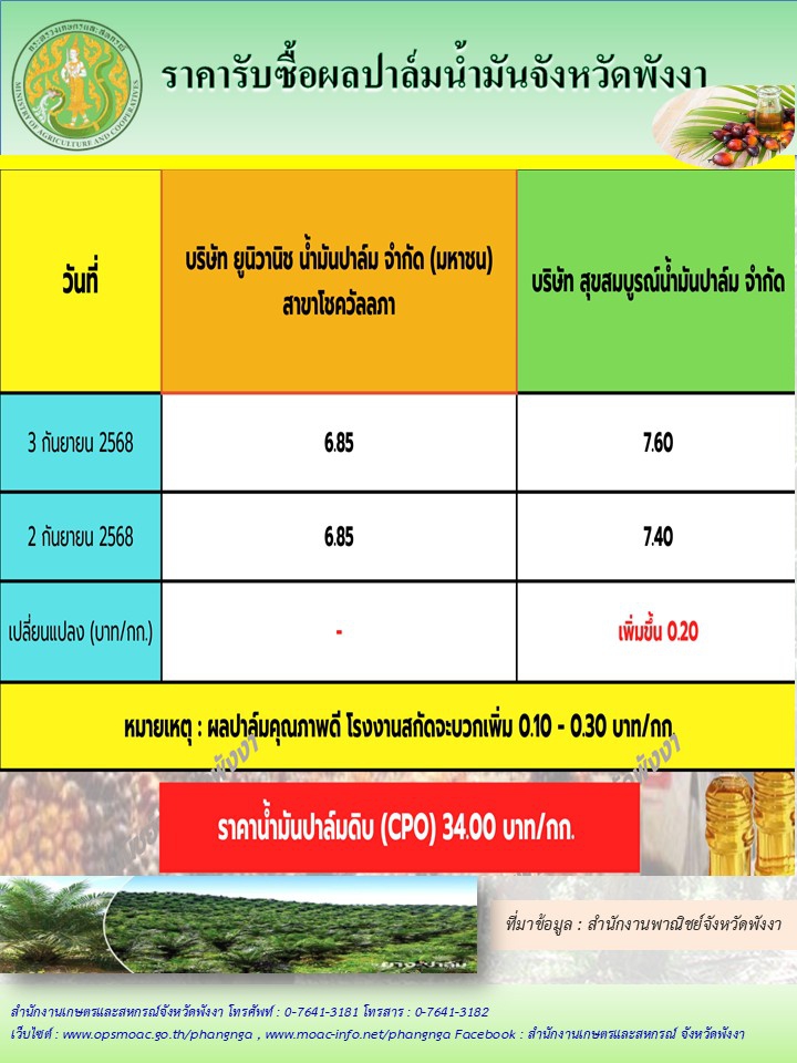 ราคารับซื้อผลปาล์มน้ำมันจังหวัดพังงา