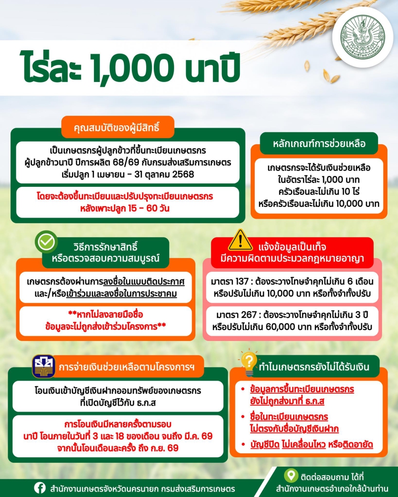 ไร่ละ 1,000 นาปี ขึ้นทะเบียนแล้ว ทำไมยังไม่ได้เงิน