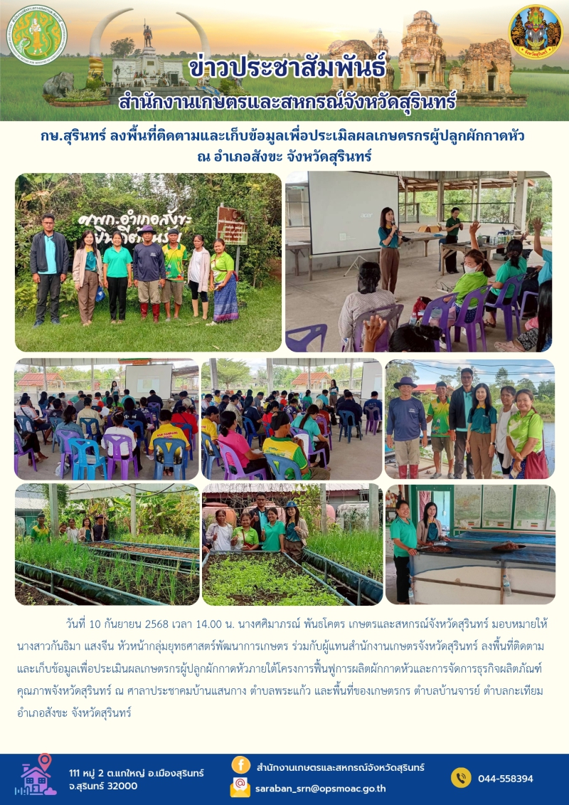 กษ.สุรินทร์ลงพื้นที่ติดตามและเก็บข้อมูลเพื่อประเมิลผลเกษตรกรผู้ปลูกผักกาดหัว