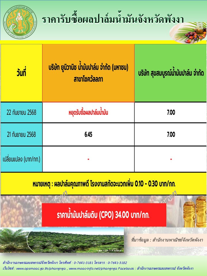 ราคารับซื้อผลปาล์มน้ำมันจังหวัดพังงา