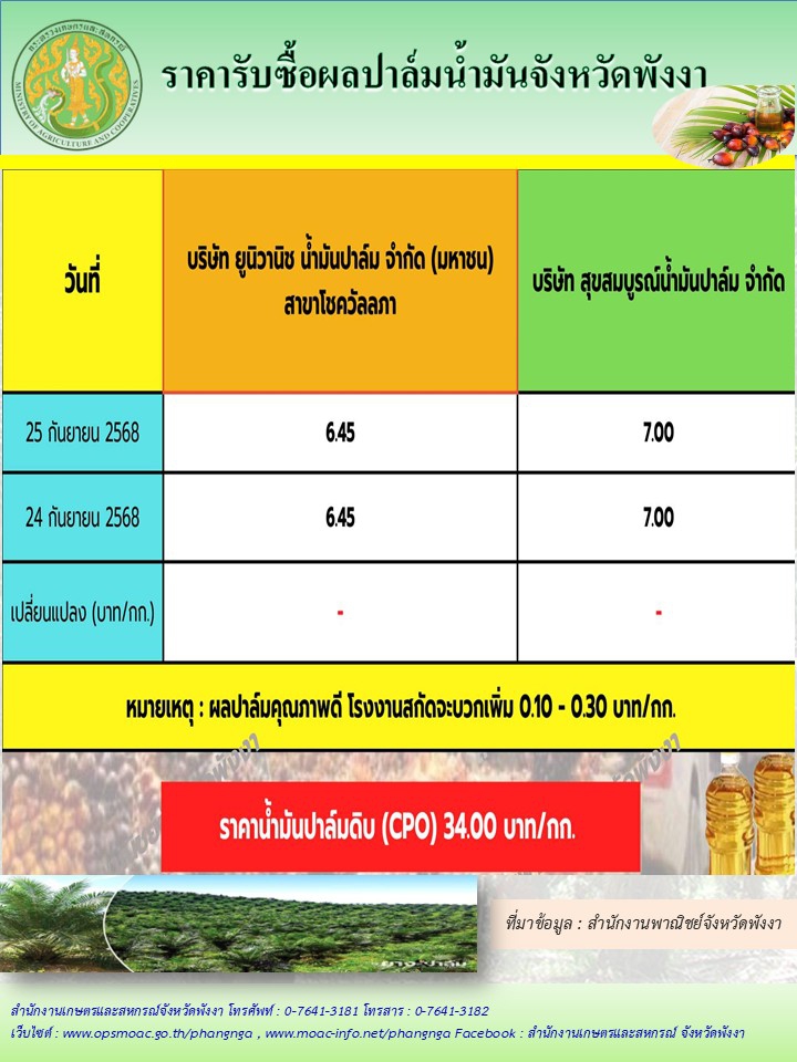 ราคารับซื้อผลปาล์มน้ำมันจังหวัดพังงา