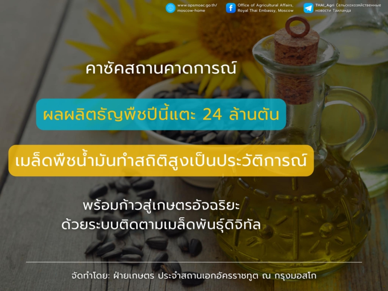 คาซัคสถานคาดผลผลิตธัญพืชปี
