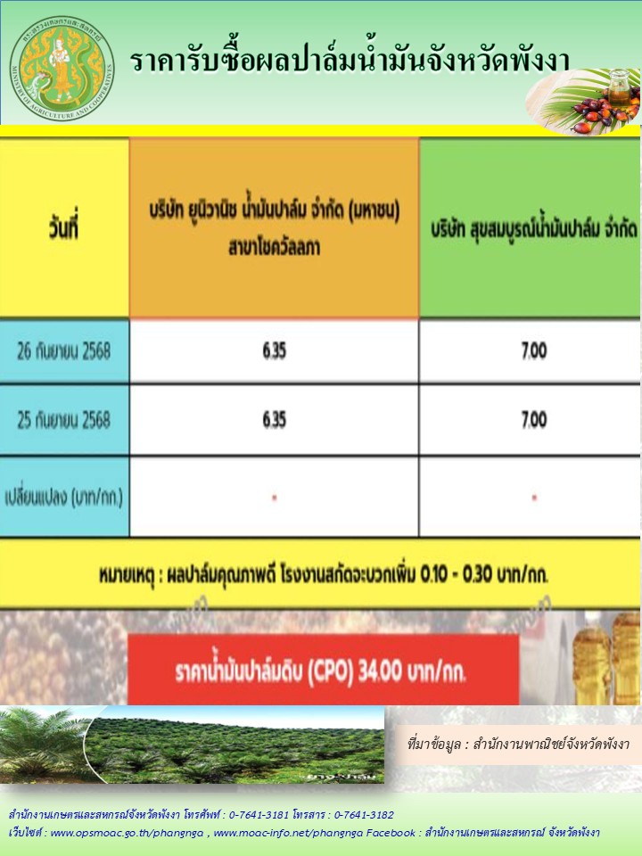 ราคารับซื้อผลปาล์มน้ำมันจังหวัดพังงา