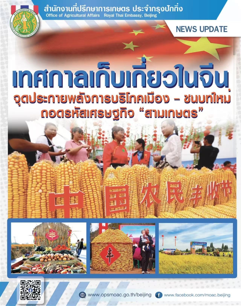 เทศกาลเก็บเกี่ยวในจีน