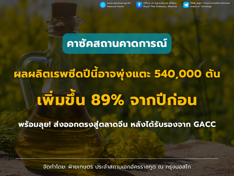 คาซัคสถานคาดผลผลิตเรพซีดปีนี้เติบโตขึ้น