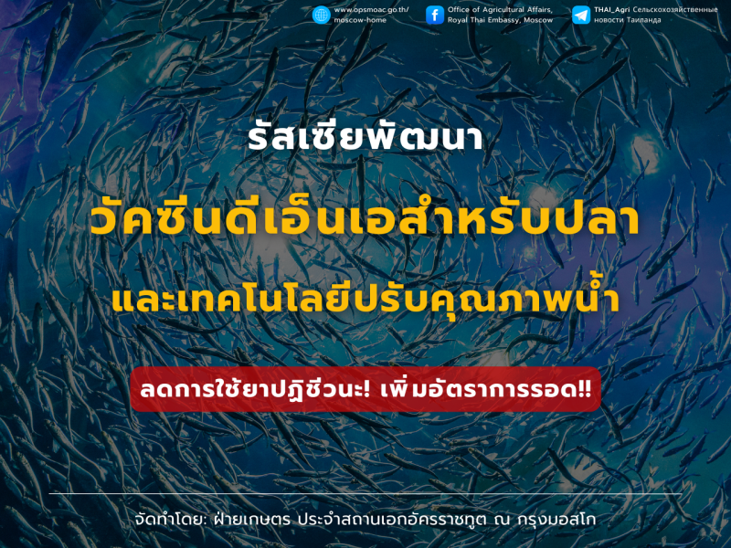 รัสเซียพัฒนาวัคซีนดีเอ็นเอสำหรับปลา