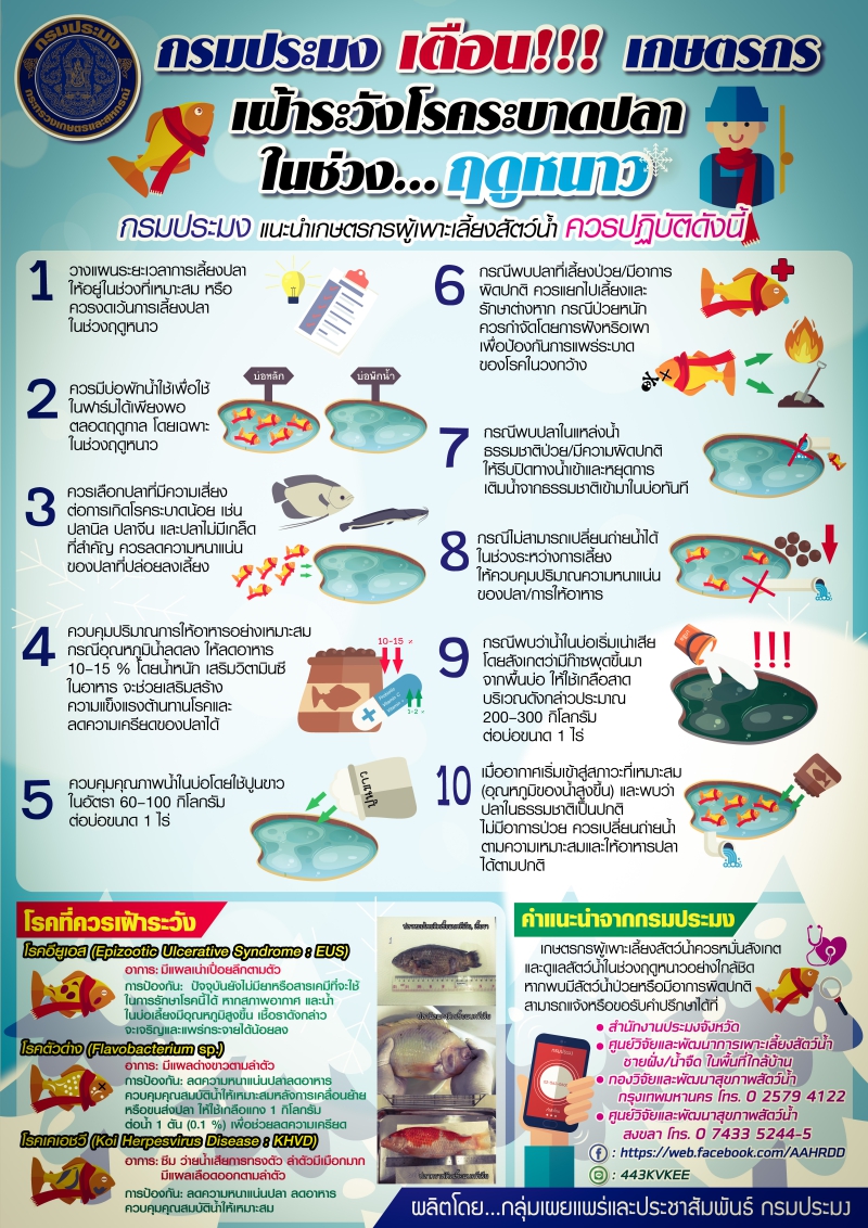 เฝ้าระวังโรคระบาดปลาในช่วงฤดูหนาว