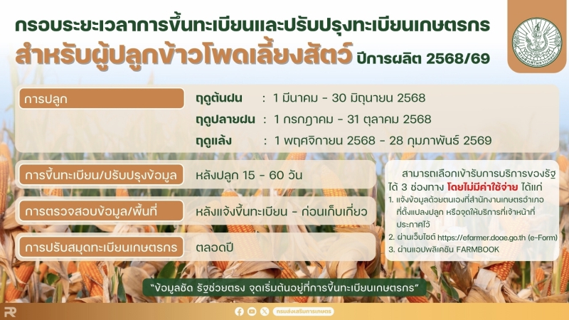 เชิญชวนเกษตรกรผู้ปลูกข้าวโพดเลี้ยงสัตว์น