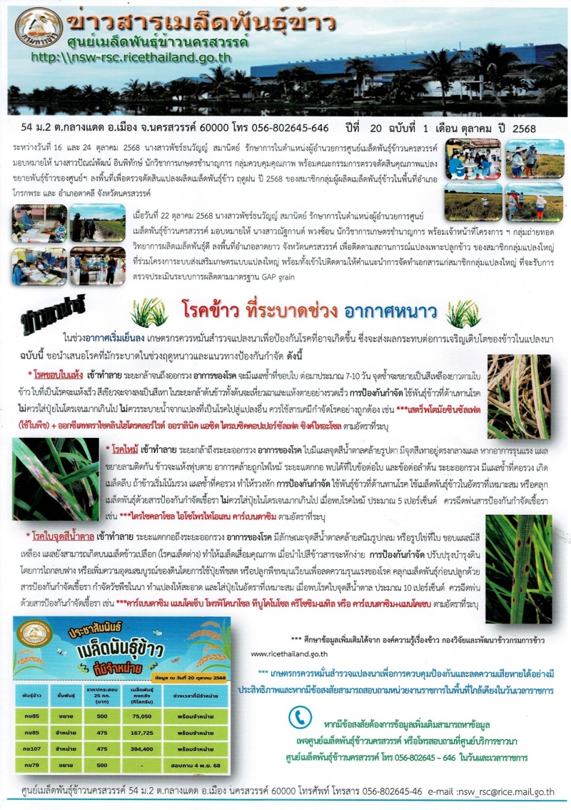 ข่าวสารเมล็ดพันธุ์ข้าว