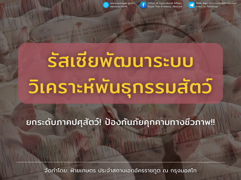 รัสเซียพัฒนาระบบวิเคราะห์พันธุกรรมสัตว์แบบใหม่