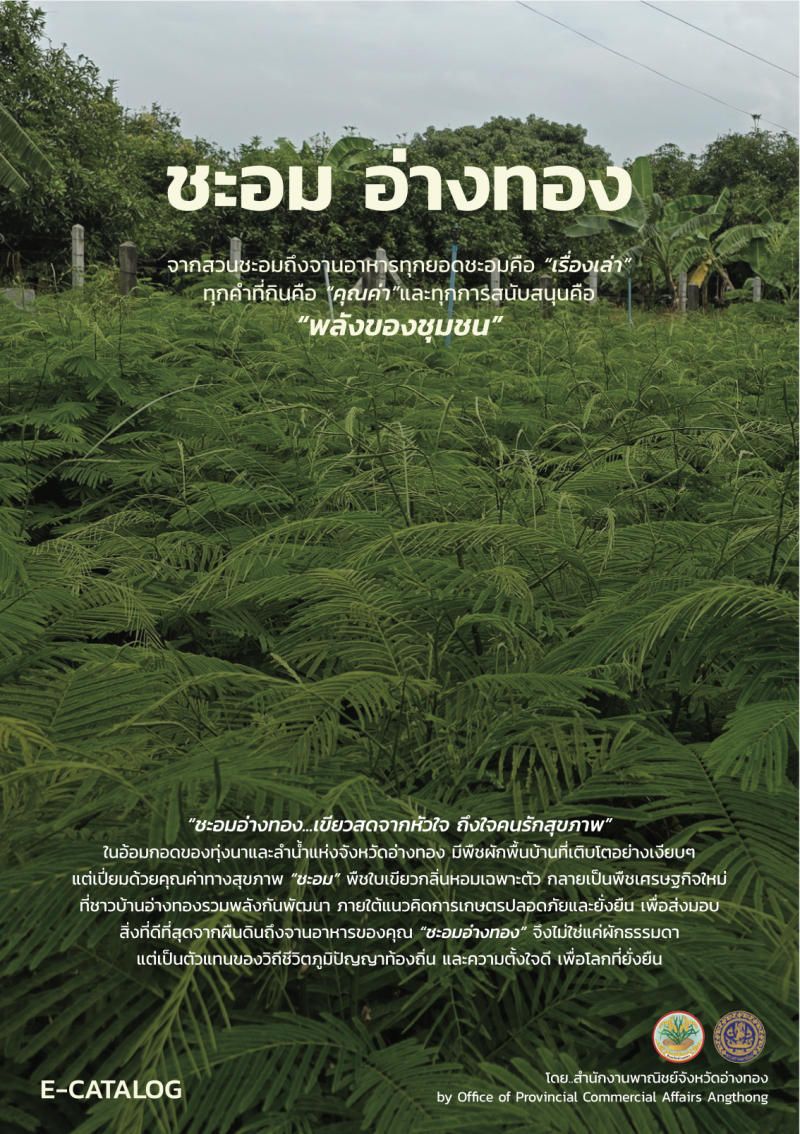 ชะอมอ่างทอง