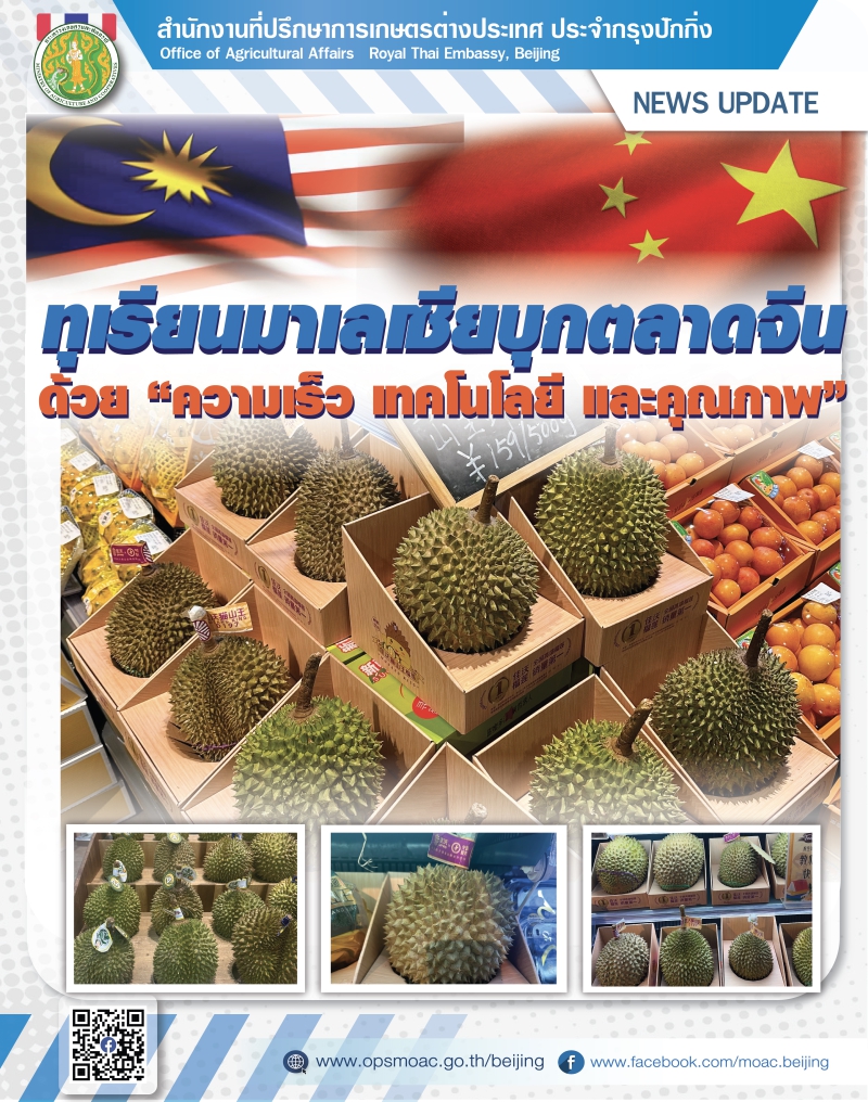 ทุเรียนมาเลเซียบุกตลาดจีนด้วย