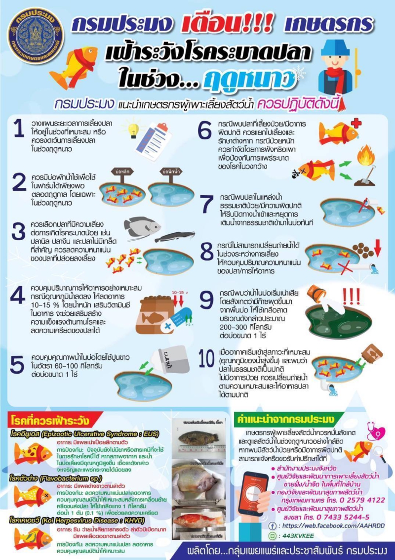 ประมงแจ้งเตือนเกษตรกรเฝ้าระวังโรคระบาดในช่วงฤดูหนาว