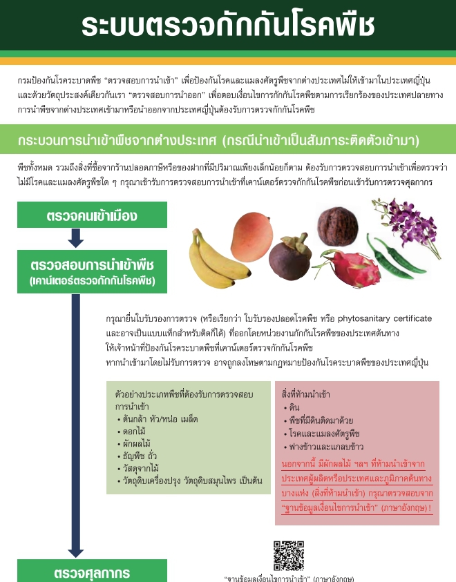 ประกาศเกี่ยวกับระบบกักกันพืชของญี่ปุ่น (ฉบับภาษาไทย)