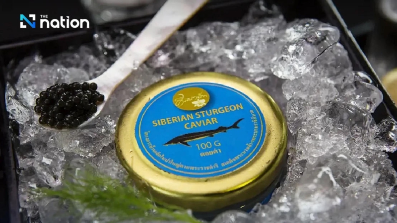 Royal Vision : How Thailand Became a Caviar Producer in the Tropics