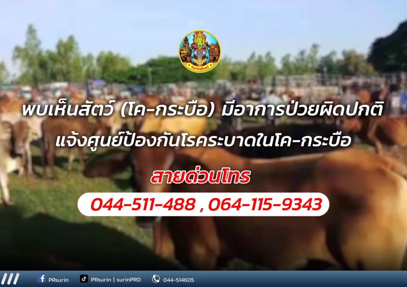 พบเห็นสัตว์(โค-กระบือ)มีอาการป่วยผิดปกติ