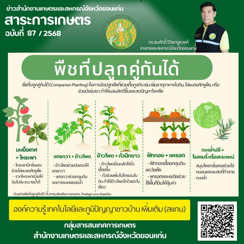 ฤดูหนาวคือฤดูปลูกผักของใครหลายคน