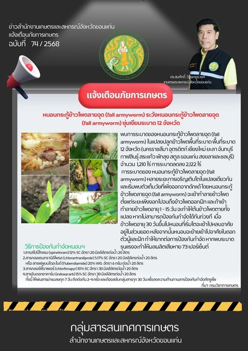 หนอนตัวร้ายของข้าวโพด