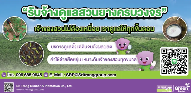 STAผุดธุรกิจใหม่ให้บริการดูแลสวนยางครบวงจรวางเป้า