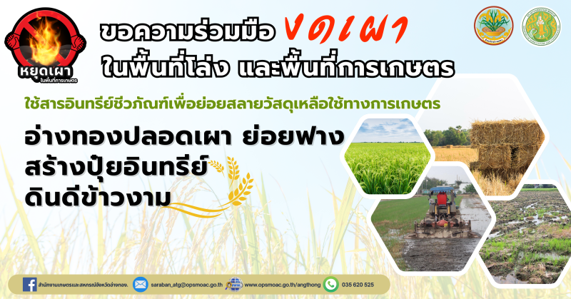 รณรงค์หยุดเผาในพื้นที่การเกษตร