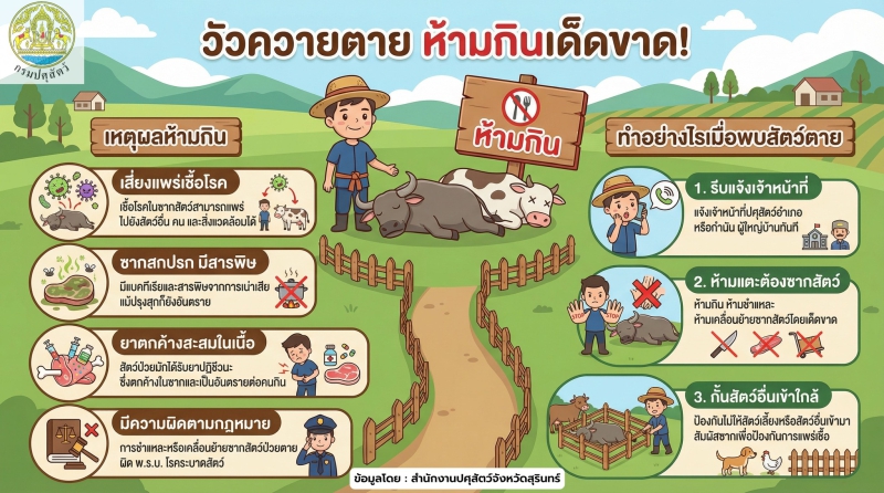 โค–กระบือตายด้วยโรคระบาด