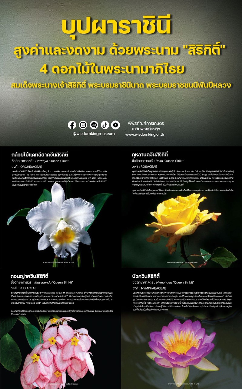 4ดอกไม้ในพระนามาภิไธย