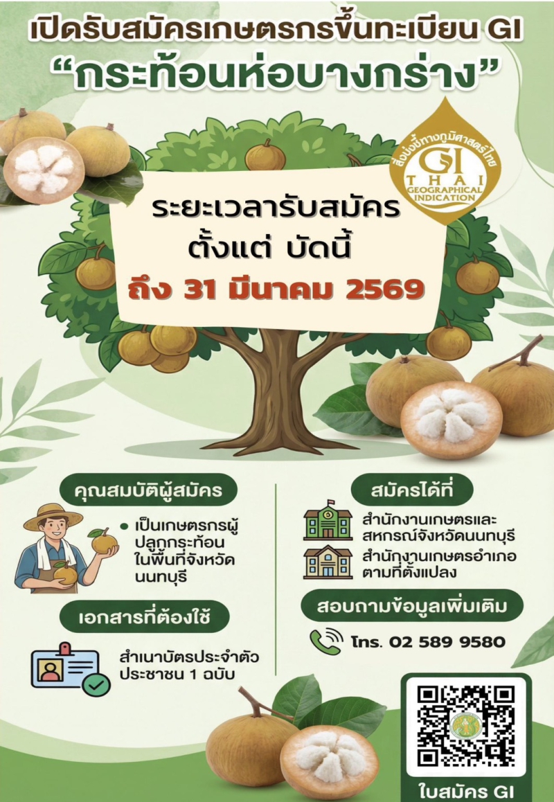 ขอเชิญชวนเกษตรกรผู้ปลูกกระท้อนห่อบางกร่าง