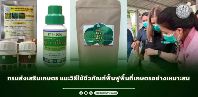 กรมส่งเสริมเกษตรแนะวิธีใช้ชีวภัณฑ์ฟื้นฟูพื้นที่เกษตรอย่างเหมาะสม