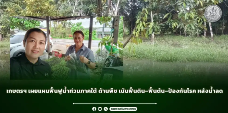 เกษตรฯเผยแผนฟื้นฟูน้ำท่วมภาคใต้
