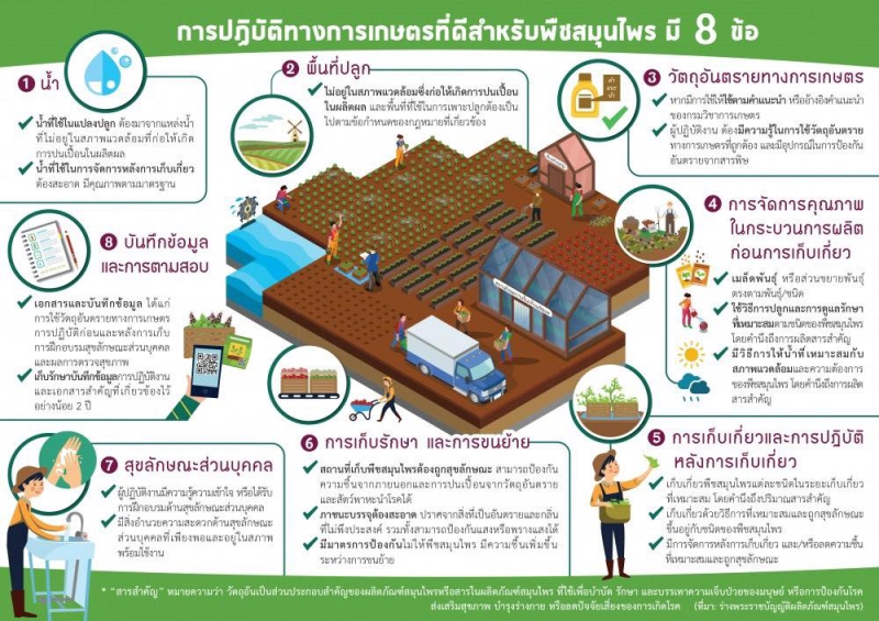 การปฏิบัติทางการเกษตรที่ดีสำหรับพืชสมุนไพร มี 8 ข้อ