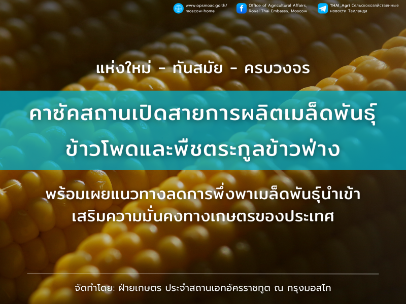 คาซัคสถานเปิดใช้งานสายการผลิตเมล็ดพันธุ์เชิงพาณิชย์แห่งใหม่