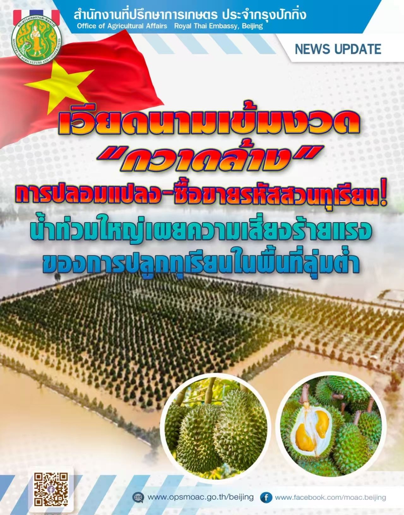 เวียดนามเข้มงวด“กวาดล้าง”การปลอมแปลง-ซื้อขายรหัสสวนทุเรียน!