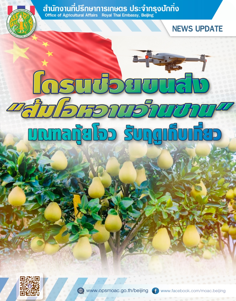 โดรนช่วยขนส่ง“ส้มโอหวานว่านซาน”