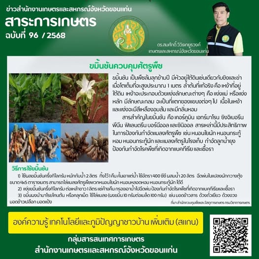 ขมิ้นชัน สมุนไพรในบ้านที่มากประโยชน์