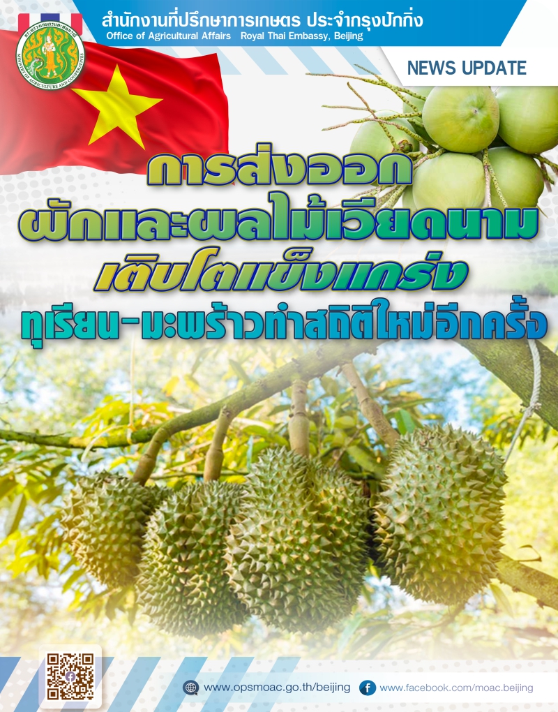 การส่งออกผักและผลไม้เวียดนามเติบโตแข็งแกร่ง